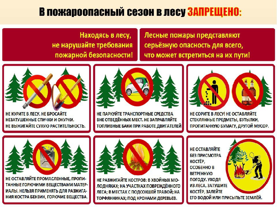 В пожароопасный период в лесу запрещено