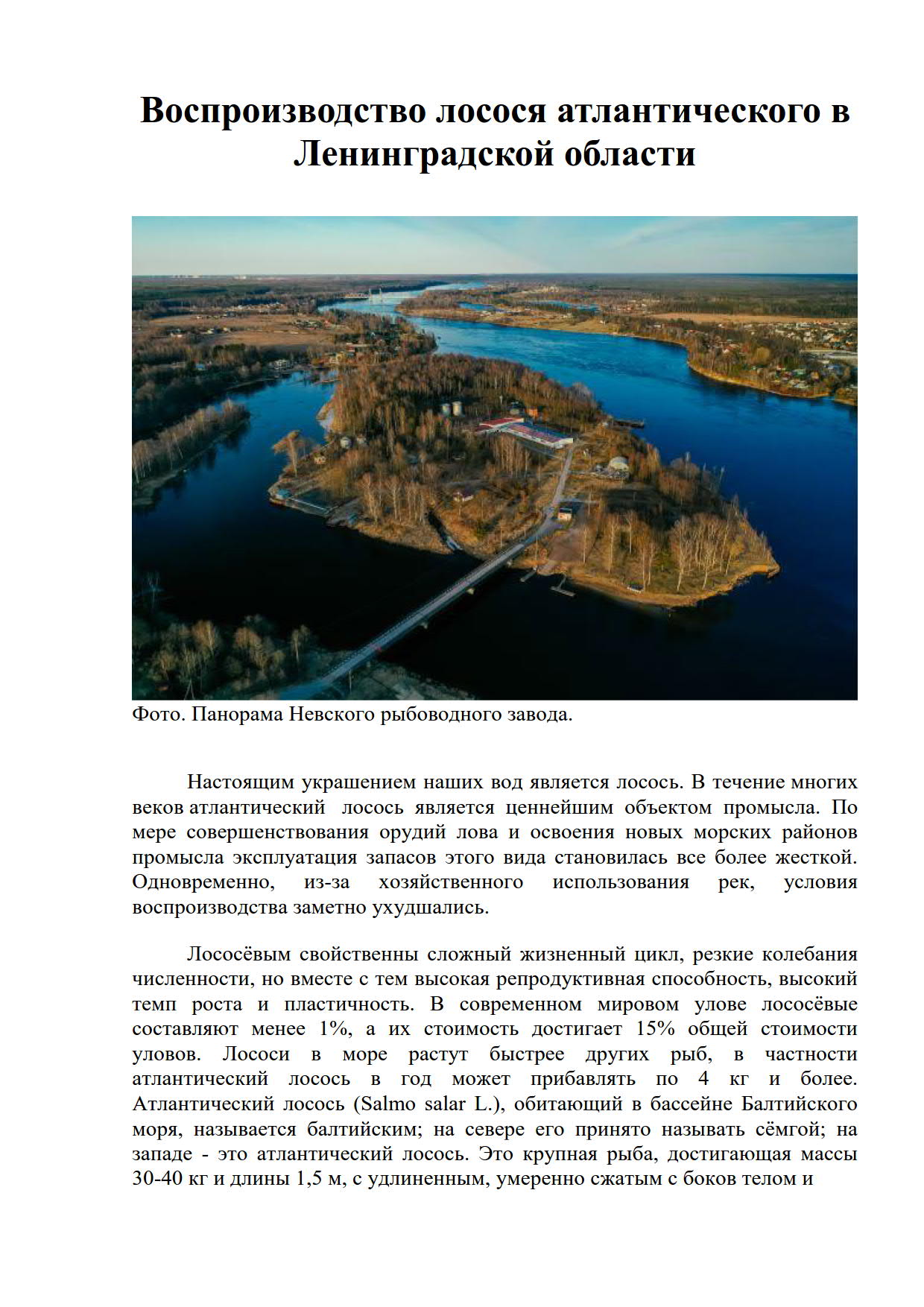 Воспроизводство лосося атлантического в Ленинградской области_1