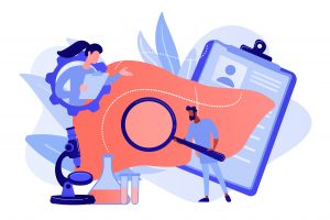 Doctors examining huge liver with magnifier and microscope. Cirrhosis, cirrhosis of the liver and liver disease concept on white background. Pinkish coral bluevector isolated illustration