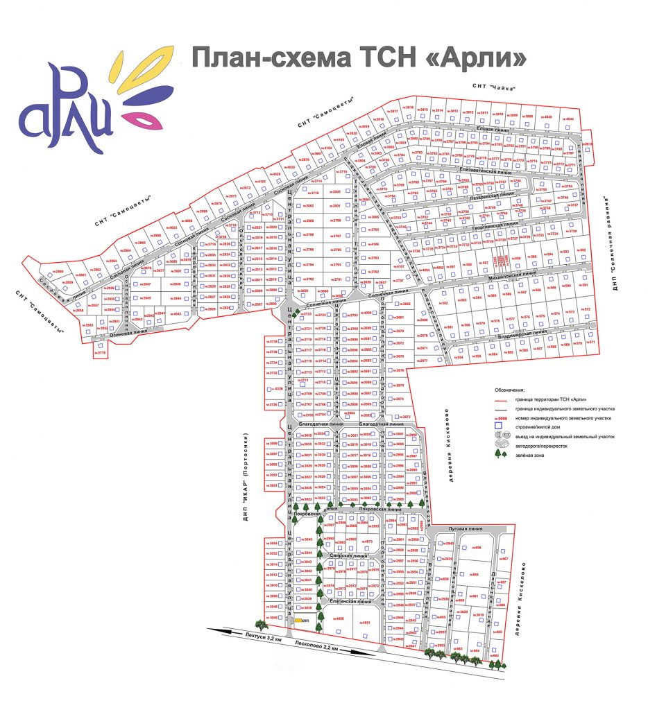 Тсн участки. ТСН Арли. План схема ТСН Арли. План-схема Арли. ТСН Арли карта поселка